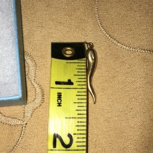 🌟EUC VTG 14K Italian Gold Italian Horn Pendant